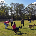 Shared Housing in New Orleans: What Pet Owners Need to Know
